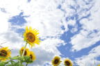 D2010049_074H