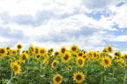 D2010049_075H