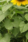 D2010050_012V