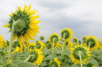 D2010050_033H