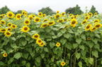 D2010050_045H