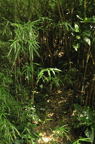 D2010051_007V