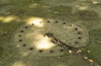 D2010051_016H