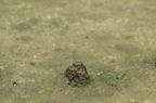 D2010051_019H