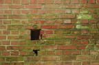 D2010051_053H
