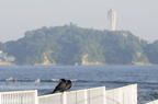 D2010052_014H