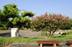D2010053_007H