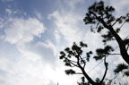 D2010054_005H