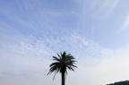 D2010054_016H