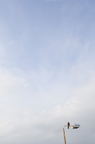 D2010054_024V
