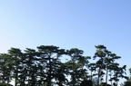 D2010055_001H