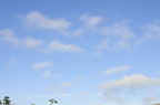 D2010055_006H