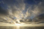 D2010055_017H