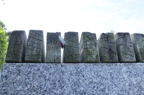 D2010059_041H