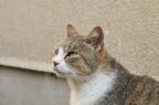 D2010059_102H