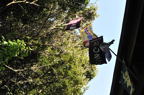 D2010059_156H