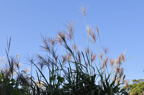 D2010059_161H