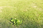 D2010059_173H