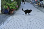 D2010059_202H