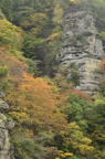 D2010060_035V