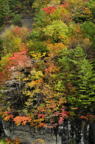 D2010060_052V