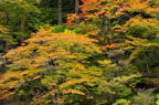 D2010061_009H