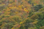 D2010061_015H