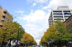 D2010063_012H