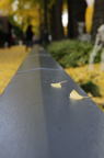 D2010063_020V