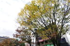 D2010063_038H