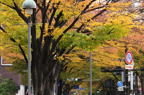 D2010063_039H