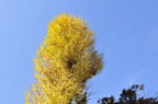 D2010064_039H