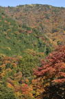 D2010064_044V