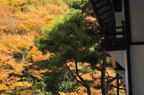 D2010066_024H