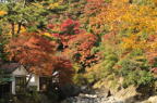 D2010066_027H