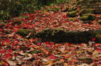 D2010066_052H