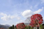 D2010066_065H