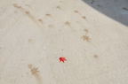D2010066_068H