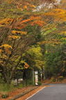 D2010067_041V
