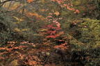 D2010067_061H