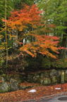 D2010067_079V