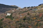 D2010069_035H
