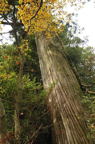D2010069_057V