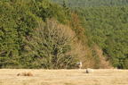 D2010071_007H