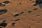 D2010072_043H