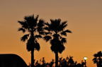 D2010072_063H