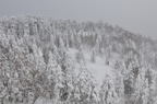 D2011002_025H