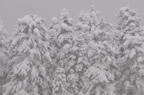 D2011002_029H