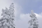D2011002_040H