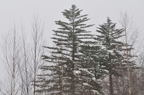 D2011002_055H